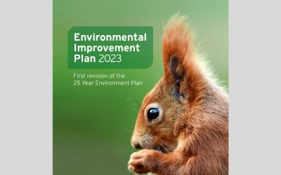 SIA response to Environmental Improvement Plan 2023